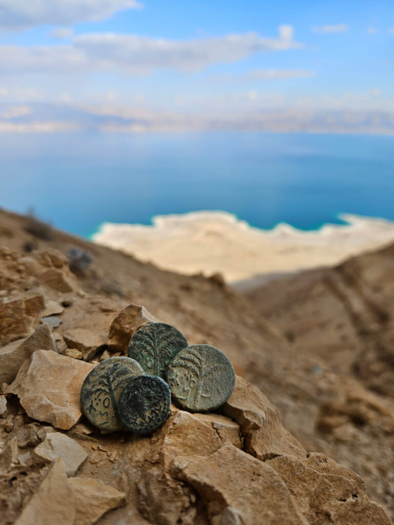 המטבעות שנמצאו במדבר. צילום אוריה עמיחי רשות העתיקות