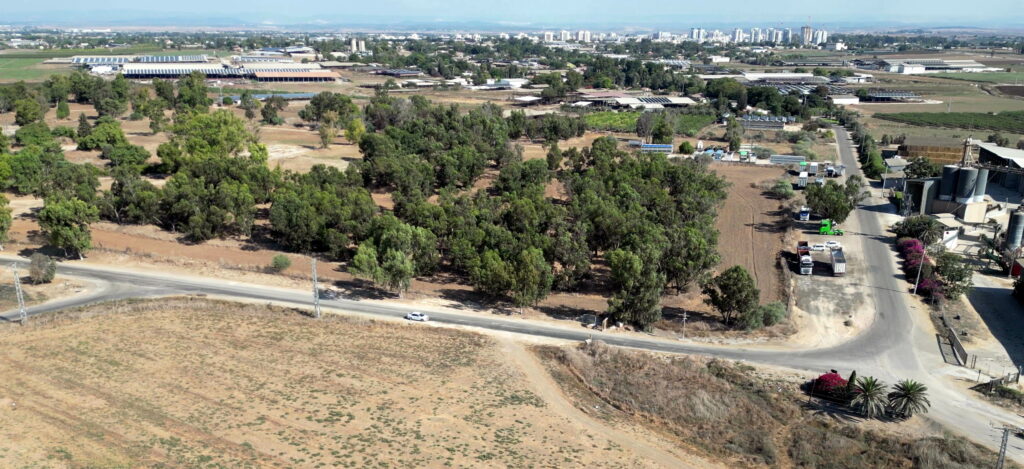 הכביש המוביל למושב באר טוביה - צילום אויר: אפי אליאן | פרוייקט טיגארט