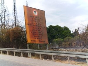 שילוט מפויח לצד כביש 3 בסמוך ללטרון - צילום: מורן יונה אליאן