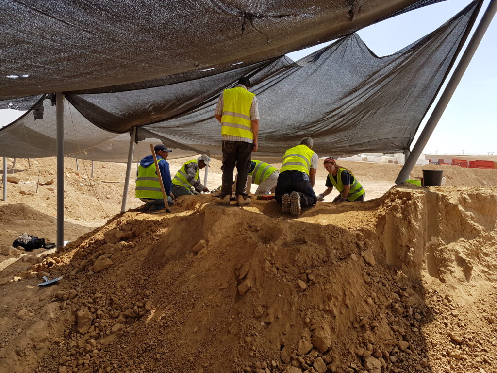 שטח החפירה. צילום סבטלנה טליס,