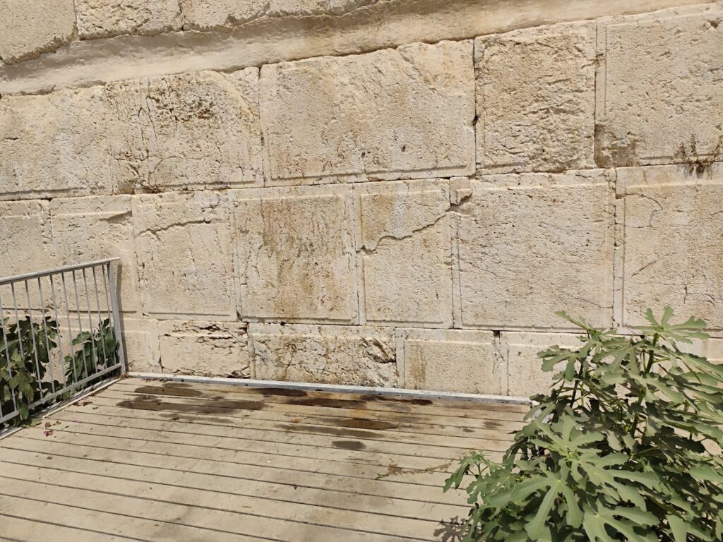 אבני הכותל בתום עבודות השימור של רשות העתיקות. צילום מינהל שימור, רשות העתיקות