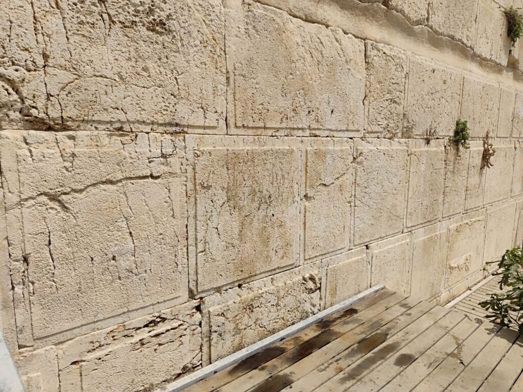 אבני הכותל בתום עבודות השימור של רשות העתיקות. צילום מינהל שימור, רשות העתיקות