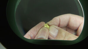 גב המטבע ועליו קרן השפע - סמל להצלחה ופריון. משני צידיה כוכבים ומסביב הכיתוב של המלכה ברניקי ביוונית. צילום אמיל אלגם