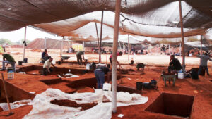 החפירה הארכיאולוגית בנווה אפרים. צילום אמיל אלג'ם