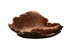 אחת הפתילות שנבדקו במחקר נמצאה בשלמותה. צילום אמיל אלגם