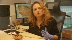 ד"ר נעמה סוקניק מרשות העתיקות. צילום אמיל אלג'ם