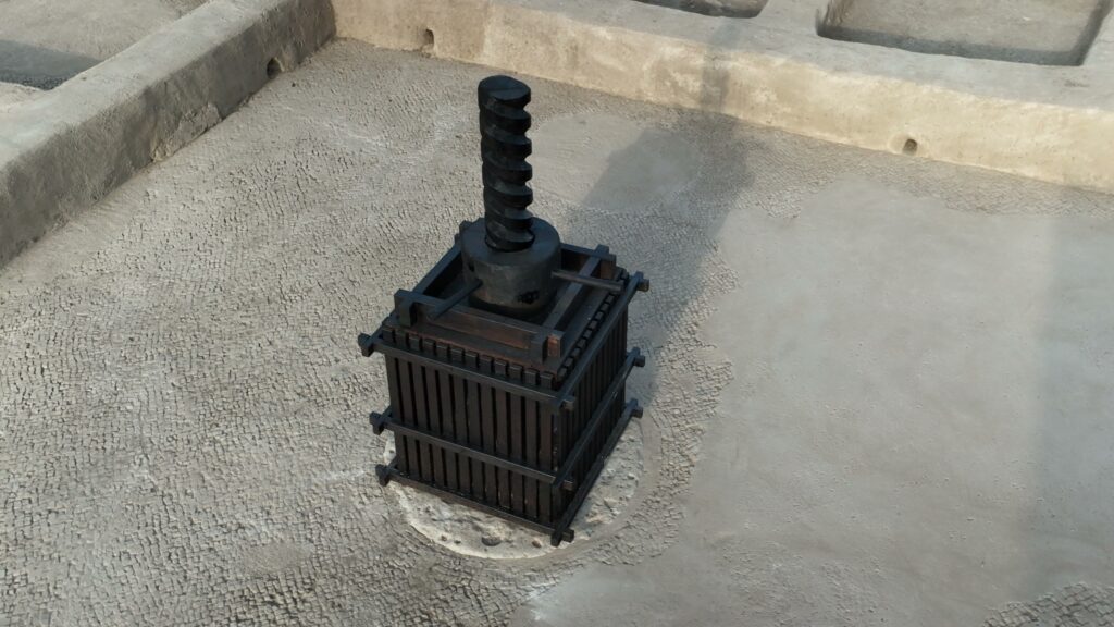 שיחזור בורג הסחיטה בגת . צילום אמיל אלג'ם