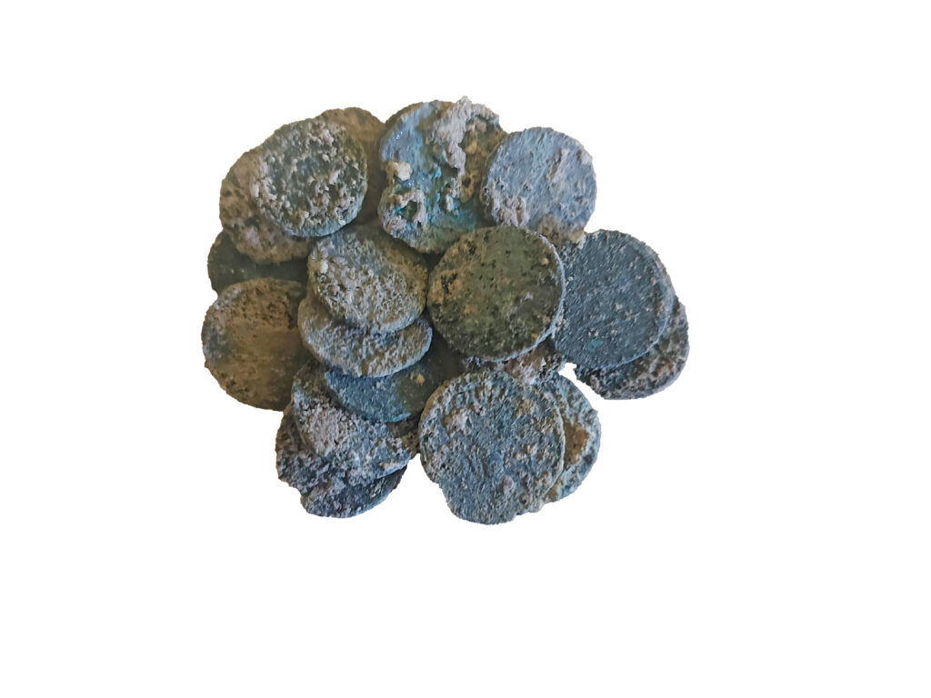 מטמון המטבעות כפי שנראה כשיצא מהשטח. צילום ינון שבטיאל המכללה האקדמית צפת