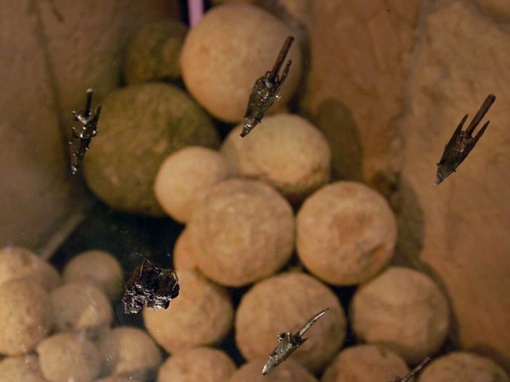 ראשי חיצים ואבני קטפולטות מימי החשמונאים - בתצוגה במגדל דוד מוזיאון ירושלים. צילום: אמיל אלג'ם