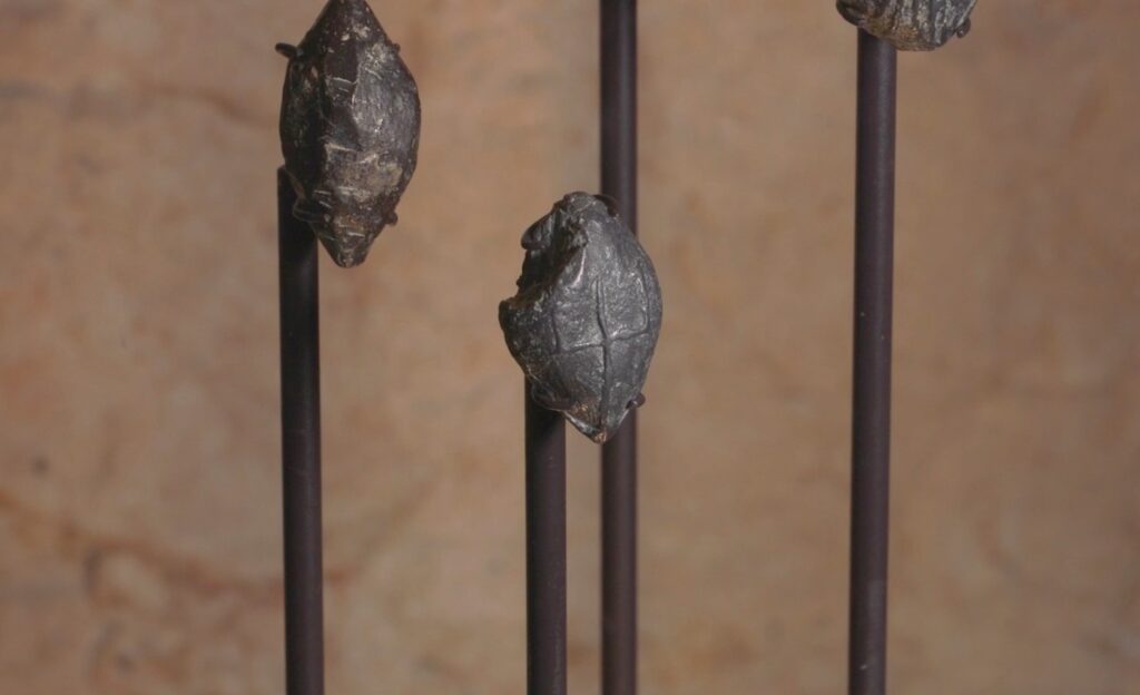 קליעי עופרת מימי החשמונאים שהתגלו ומוצגים במגדל דוד מוזיאון ירושלים. צילום: אמיל אלג'ם